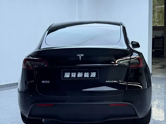 Tesla Model Y — Фото автомобиля 15