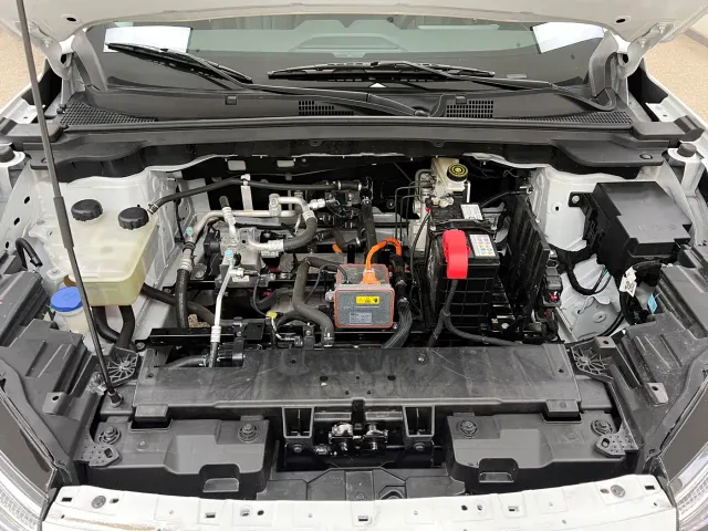Dongfeng SKY EV01 — Фото автомобиля 29
