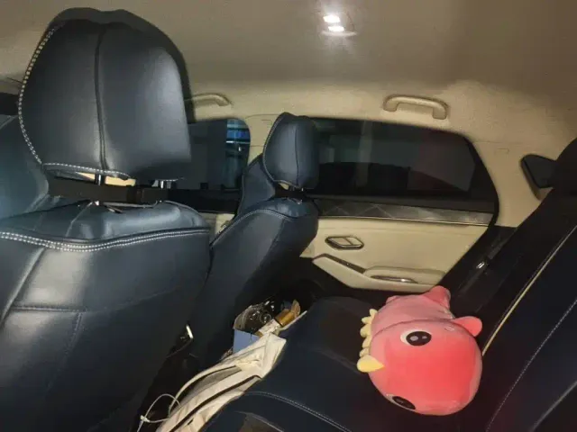 BYD Qin L — Фото автомобиля 14