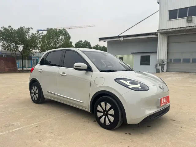 Wuling Motors Wuling Bingo 2023 203km Comfort Version — Фото автомобиля 3