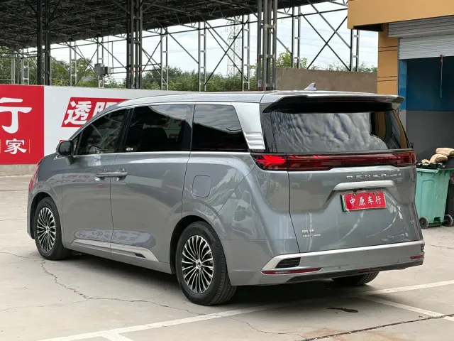 Denza D9 — Фото автомобиля 21