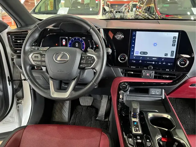 Lexus NX — Фото автомобиля 14