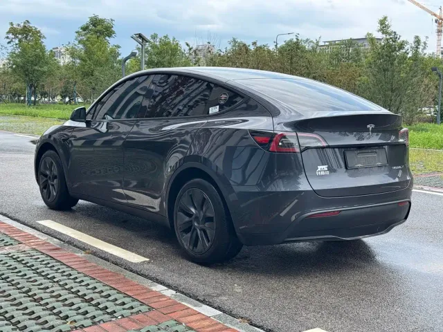 Tesla Model Y — Фото автомобиля 4