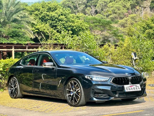 BMW 8 Series — Фото автомобиля 3