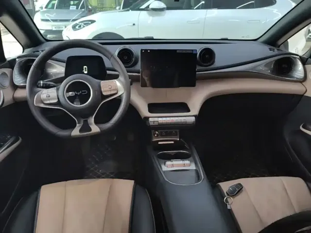 BYD Dolphin 2024 Glory Edition 420km Freedom Edition — Фото автомобиля 9
