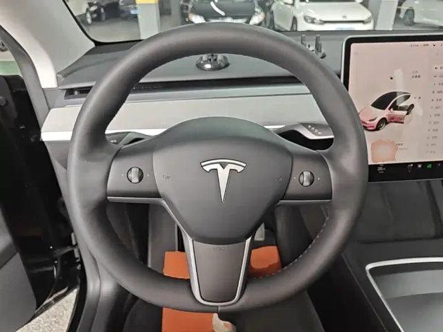 Tesla Model Y — Фото автомобиля 10