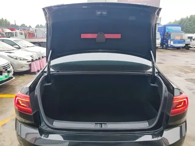 Volkswagen Magotan 2020 280TSI DSG Comfort — Фото автомобиля 18