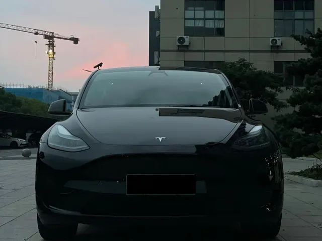 Tesla Model Y — Фото автомобиля 2