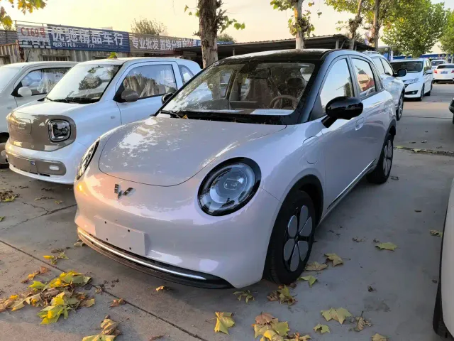 Фотография автомобиля — Wuling Binguo Pro