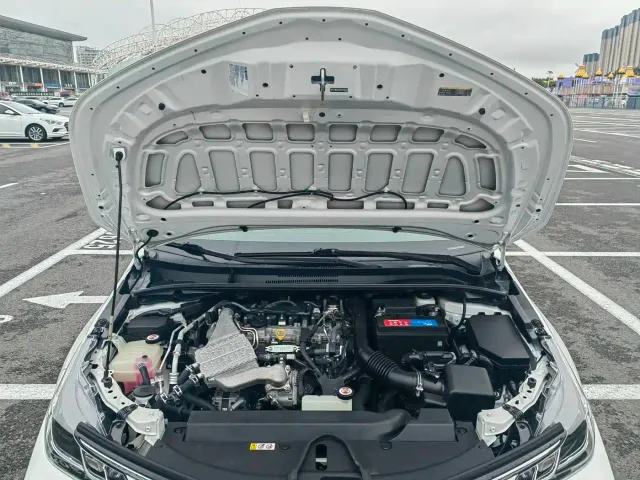 Toyota Corolla — Фото автомобиля 24