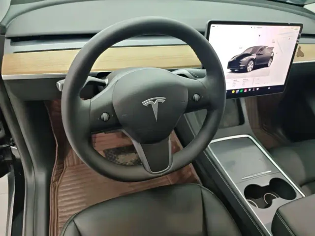 Tesla Model Y — Фото автомобиля 10