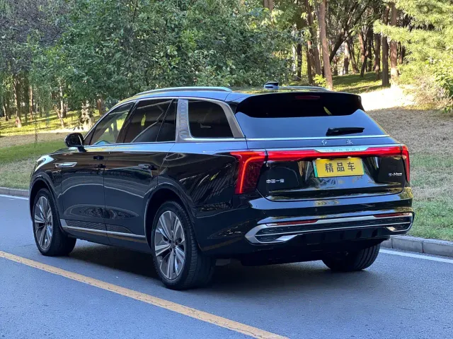 Hongqi E-HS9 — Фото автомобиля 5
