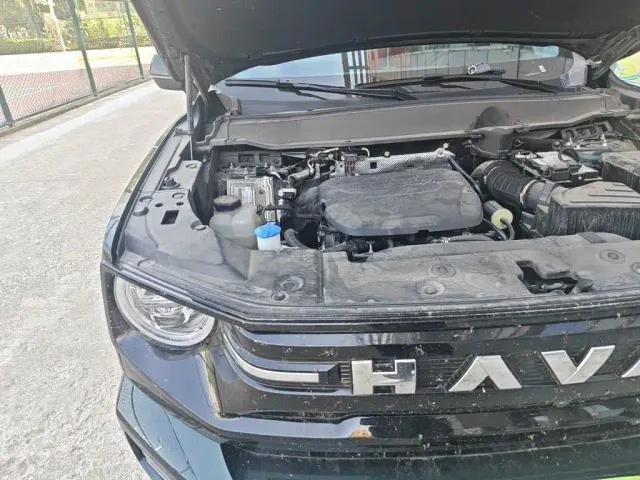 Haval Big Dog — Фото автомобиля 20