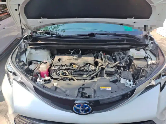 Toyota Sienna — Фото автомобиля 10