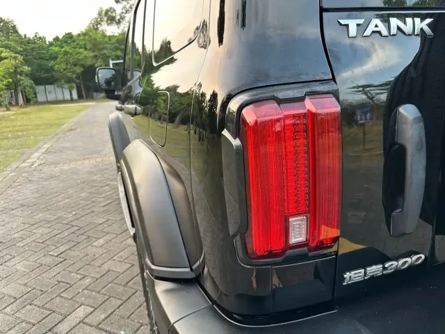 Tank Tank 300 2023 Off-Road Edition 2.0T Challenger — Фото автомобиля 9