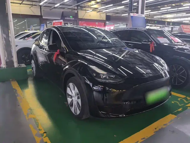 Tesla Model Y — Фото автомобиля 3
