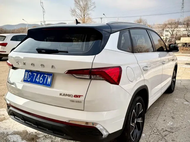 Skoda Kamiq — Фото автомобиля 6
