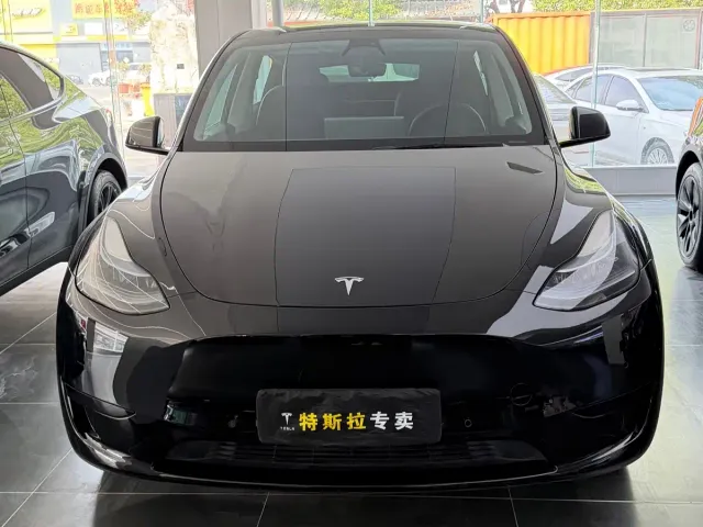 Tesla Model Y — Фото автомобиля 2