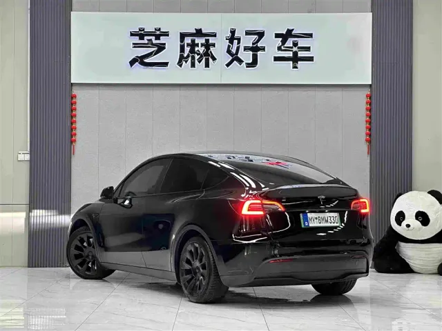 Tesla Model Y — Фото автомобиля 4