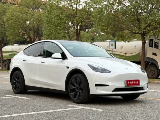 Tesla Model Y — Фото автомобиля 3