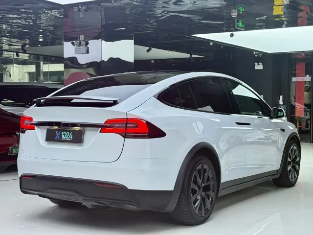 Tesla Model X — Фото автомобиля 9