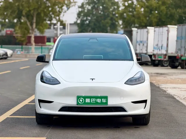 Tesla Model Y — Фото автомобиля 2