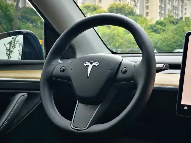 Tesla Model Y — Фото автомобиля 16