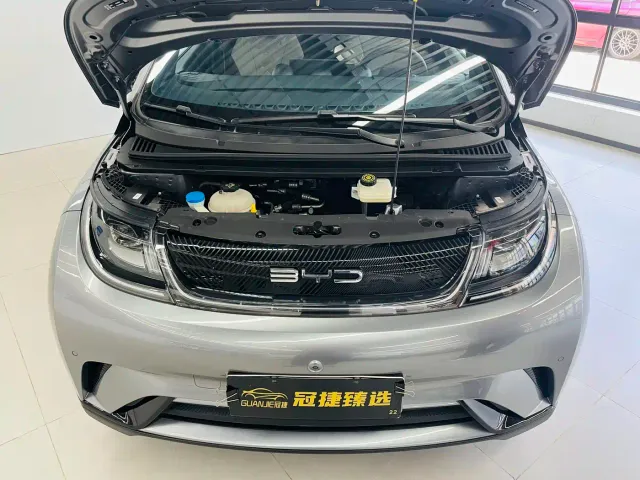 BYD Dolphin — Фото автомобиля 2