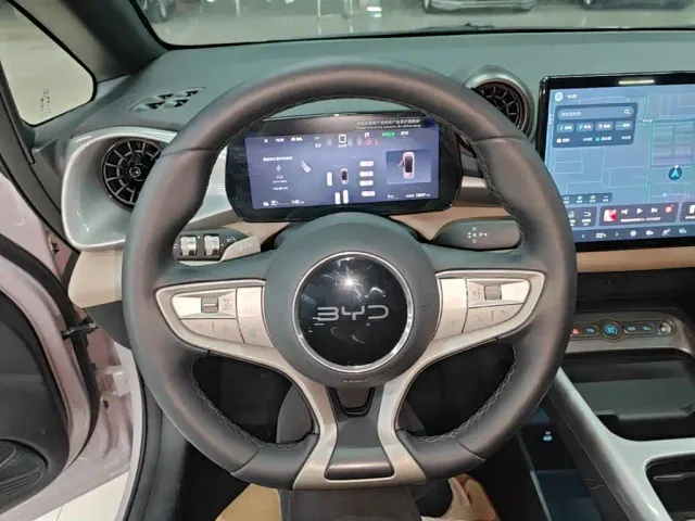 BYD Dolphin — Фото автомобиля 10