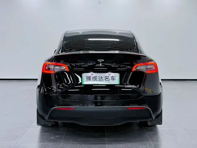 Tesla Model Y — Фото автомобиля 6