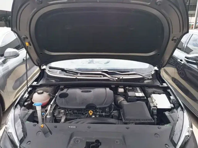 Geely Binrui — Фото автомобиля 19