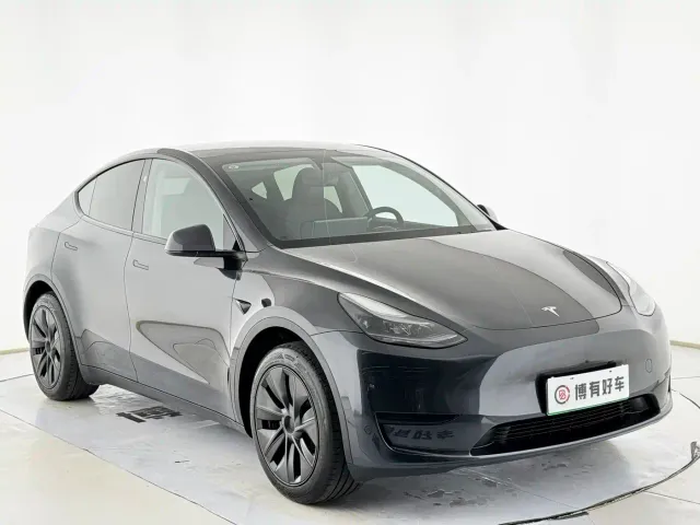 Tesla Model Y — Фото автомобиля 3