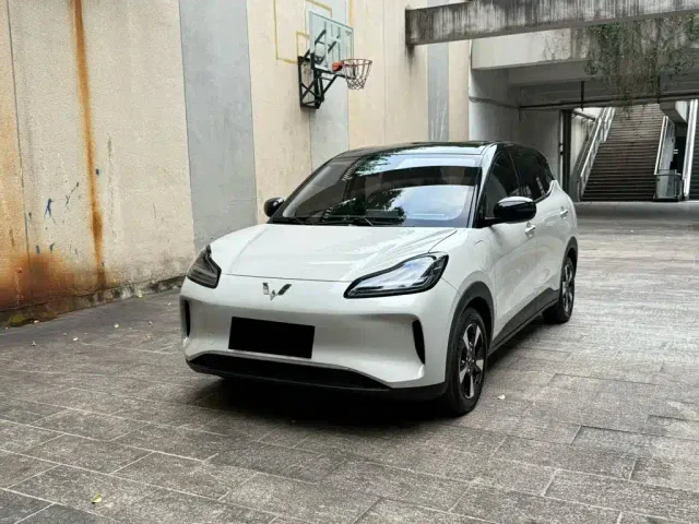 Фотография автомобиля — Wuling Binguo PLUS