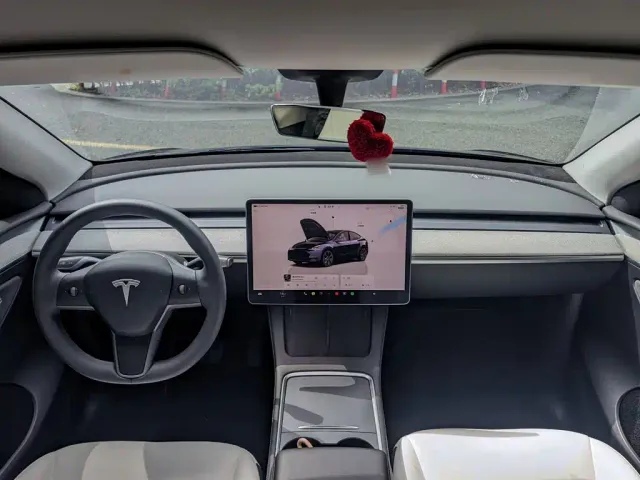 Tesla Model Y — Фото автомобиля 19