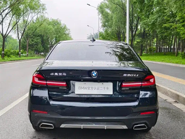 BMW 5 Series — Фото автомобиля 11
