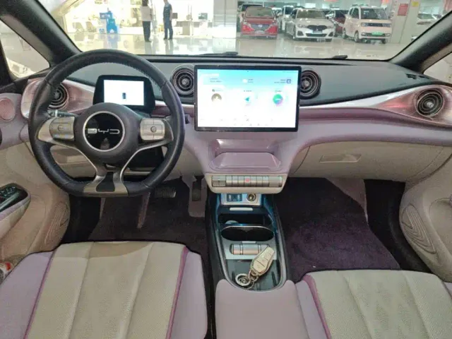 BYD Dolphin — Фото автомобиля 9
