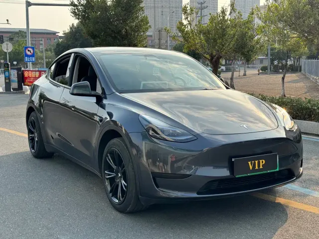Tesla Model Y — Фото автомобиля 3