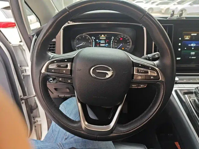 GAC Trumpchi M8 — Фото автомобиля 10