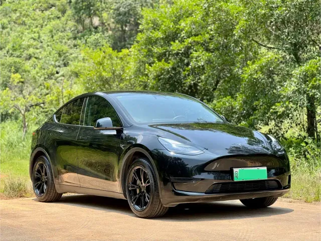 Tesla Model Y — Фото автомобиля 3