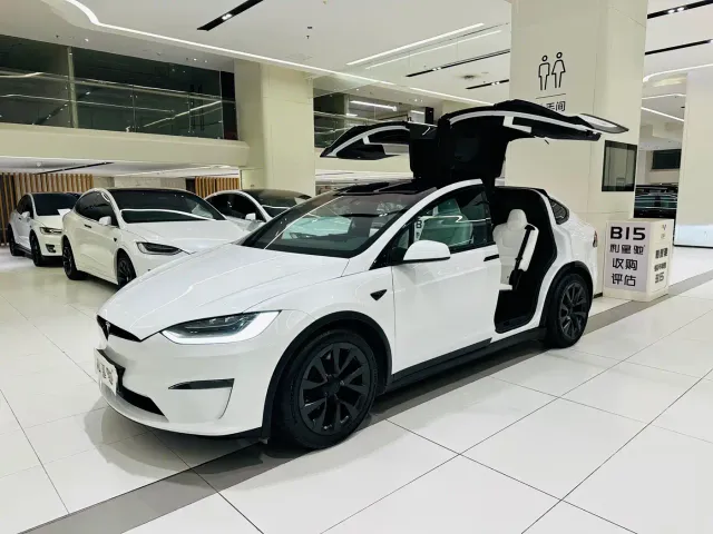 Tesla Model X — Фото автомобиля 26