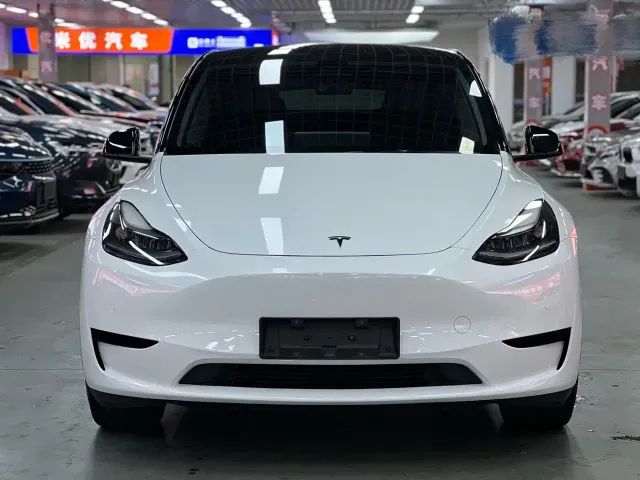 Tesla Model Y — Фото автомобиля 2