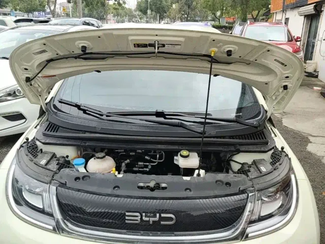 BYD Dolphin — Фото автомобиля 19