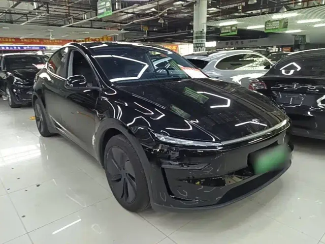 Tesla Model Y — Фото автомобиля 3