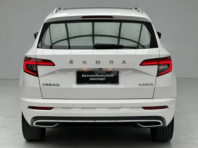 Skoda Karoq — Фото автомобиля 9