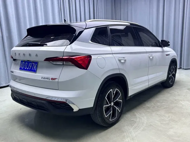 Skoda Kamiq — Фото автомобиля 15