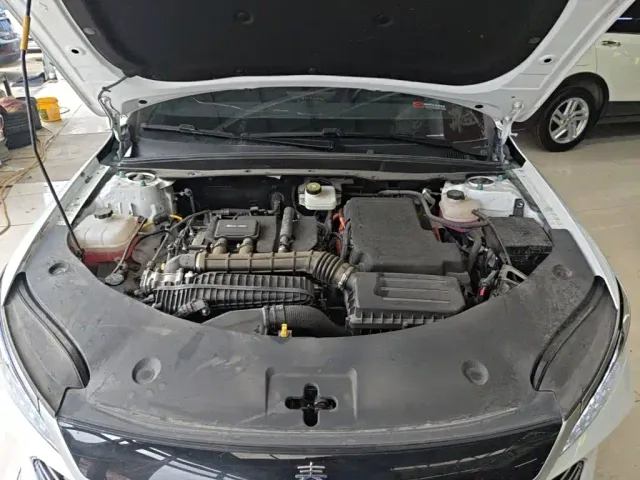 BYD Qin PLUS — Фото автомобиля 19