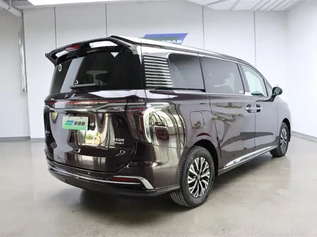 Hongqi HQ9 PHEV — Фото автомобиля 3