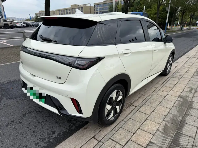 BYD Dolphin — Фото автомобиля 3