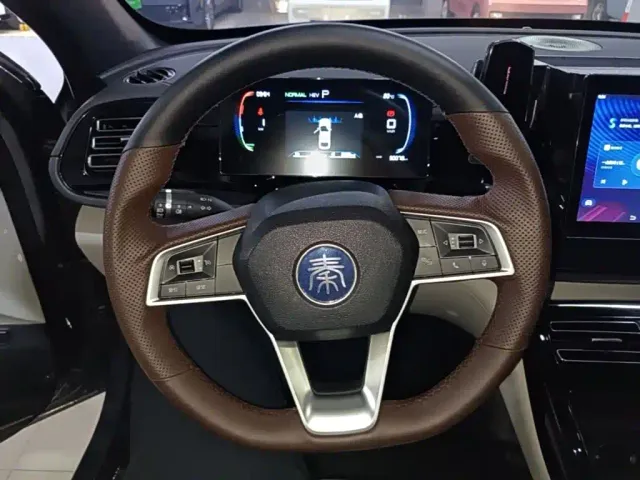 BYD Qin PLUS — Фото автомобиля 10