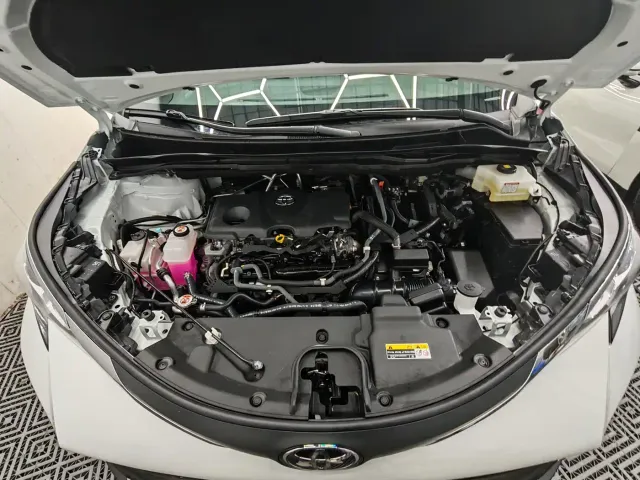 Toyota Sienna — Фото автомобиля 10
